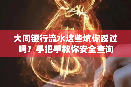 大同银行流水这些坑你踩过吗？手把手教你安全查询