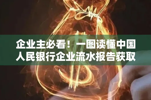 企业主必看！一图读懂中国人民银行企业流水报告获取全流程