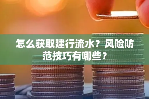 怎么获取建行流水？风险防范技巧有哪些？