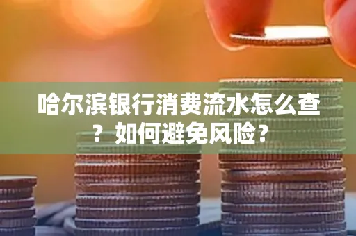 哈尔滨银行消费流水怎么查？如何避免风险？